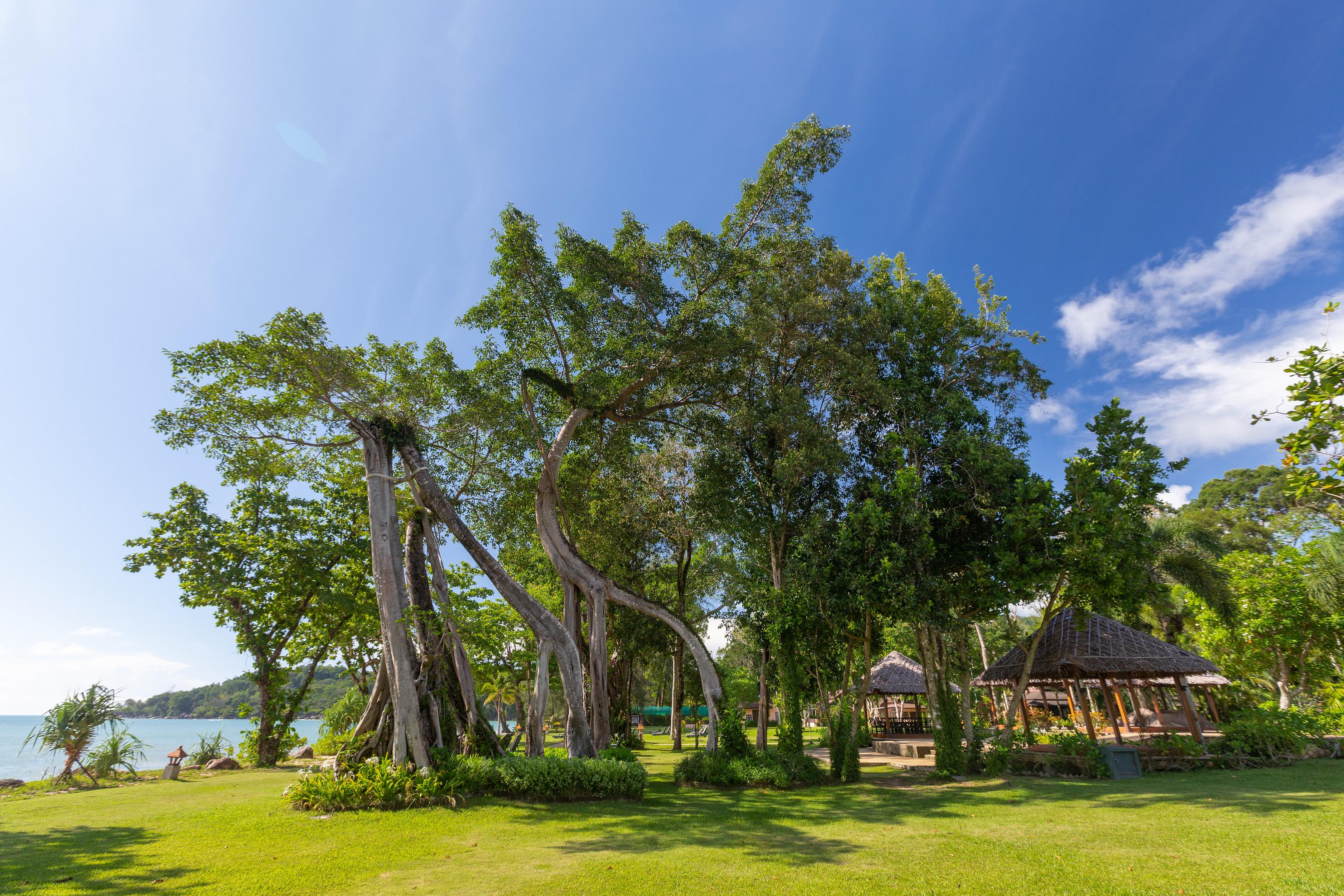 Tempat peranginan Khaolak Merlin 5*