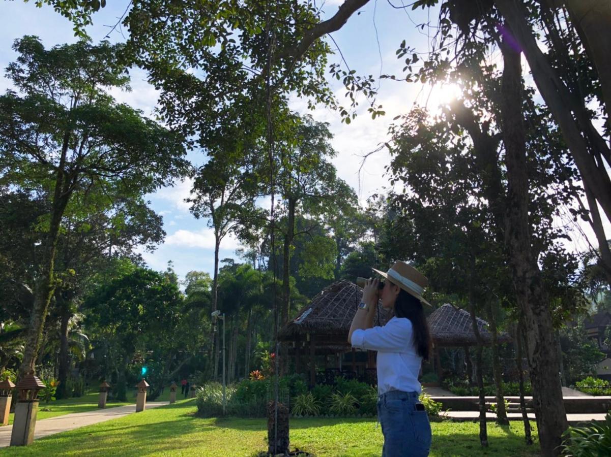 Khaolak Merlin Tempat peranginan